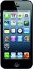 Apple iPhone 5 16GB - Курганинск