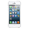 Apple iPhone 5 32Gb white - Курганинск