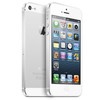 Apple iPhone 5 64Gb white - Курганинск